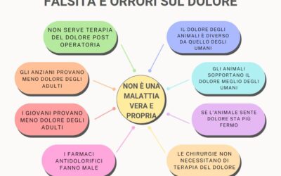 Anestesia e terapia del dolore