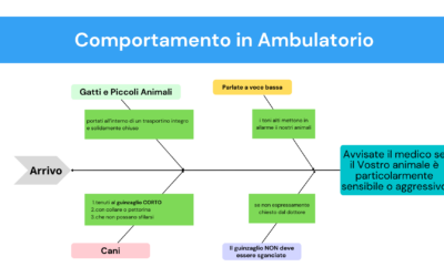 Comportamento in Ambulatorio