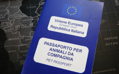 Come ottenere il Passaporto Internazionale per il proprio cane, gatto o furetto