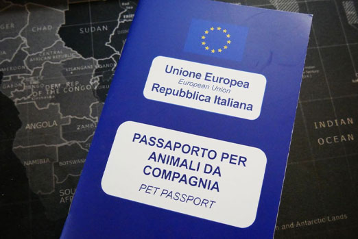 Come ottenere il Passaporto Internazionale per il proprio cane, gatto o furetto