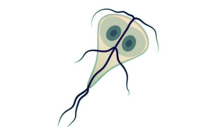 La Giardia