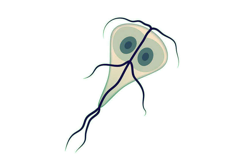 La Giardia