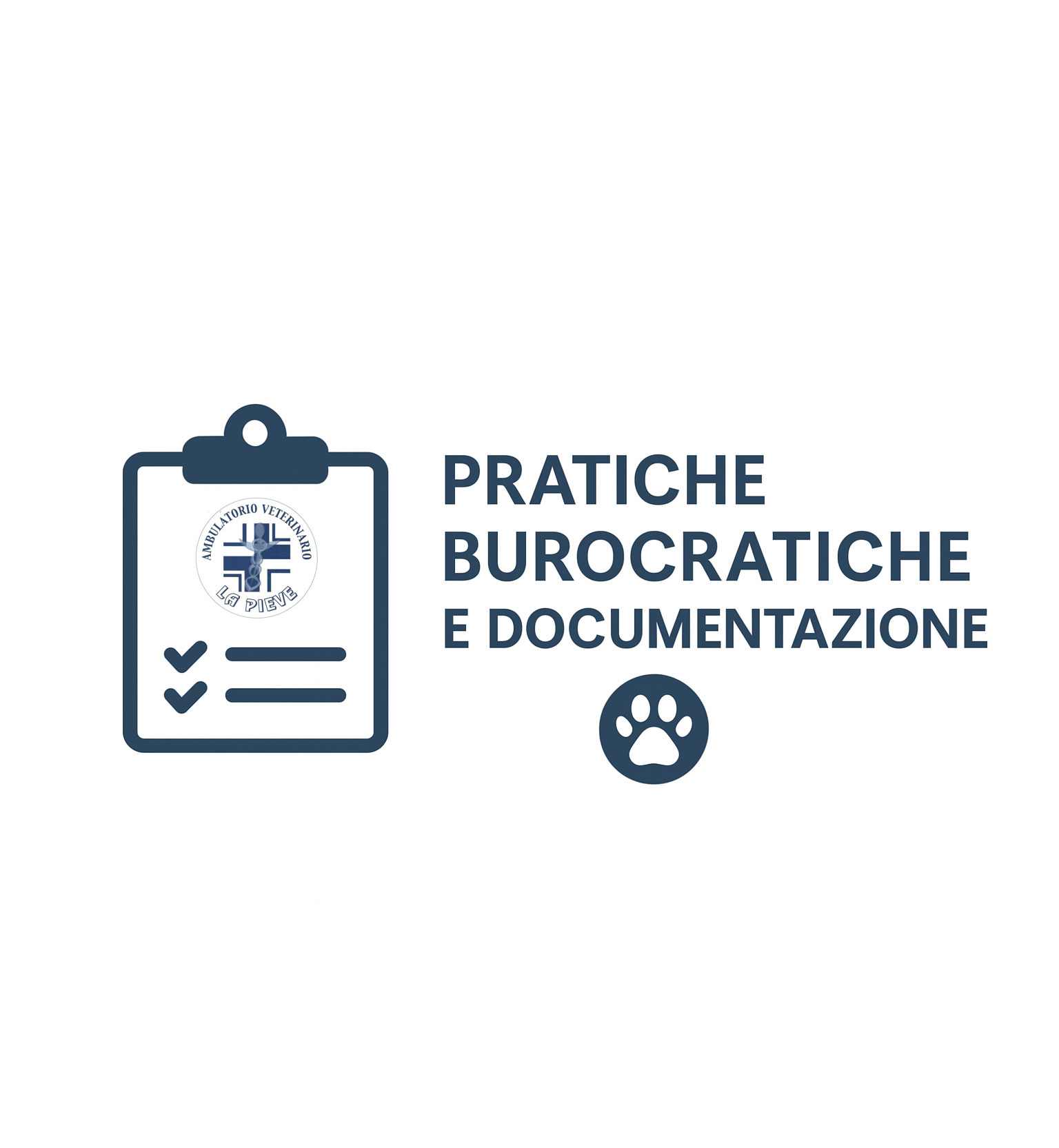 pratiche2