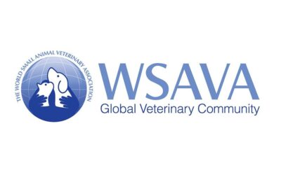 Vaccinazioni del cane: cosa dice la WSAVA 2024