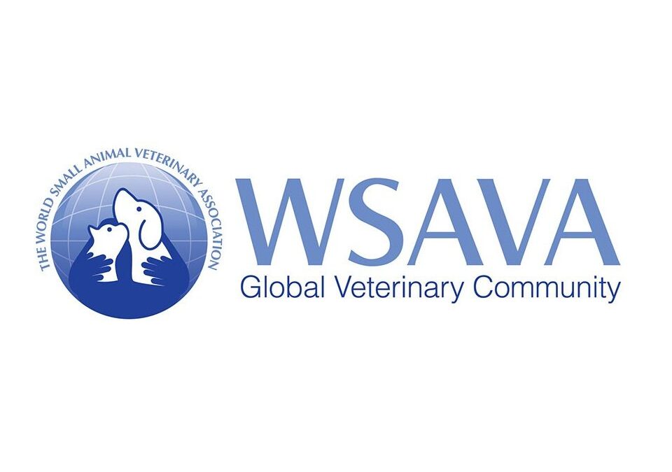 Vaccinazioni del cane: cosa dice la WSAVA 2024