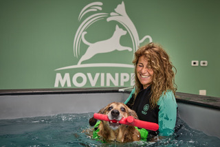 Dolore e fisioterapia: approccio non farmacologico per il benessere del tuo pet