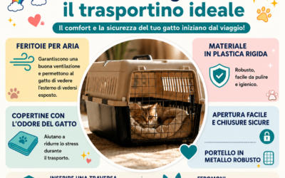 Come scegliere trasportino gatto: guida pratica del veterinario