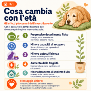 Supporto animali anziani