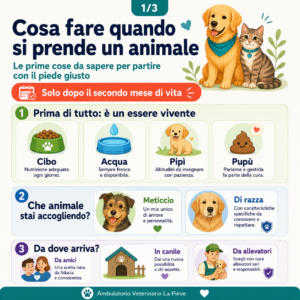 Registrazione microchip cane e gatto