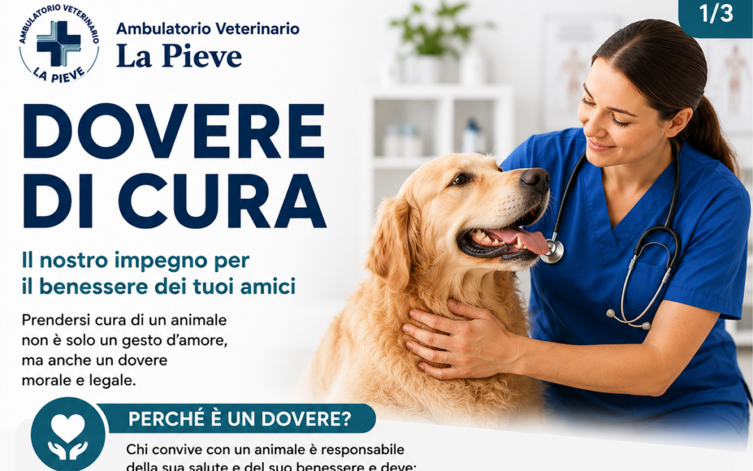 Dovere di cura animali: responsabilità, consenso ed eutanasia