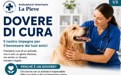 Dovere di cura animali: responsabilità, consenso ed eutanasia