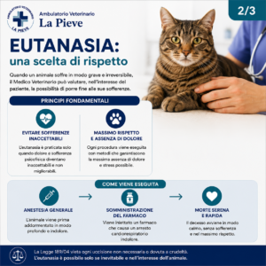 Eutanasia animale come scelta veterinaria di rispetto nei casi di sofferenza grave