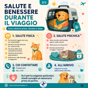 Salute e benessere di cane e gatto durante il viaggio