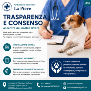 Consenso informato veterinario e trasparenza nelle cure degli animali