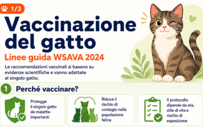 Vaccinazione gatto: primo ciclo, richiami e vaccini consigliati
