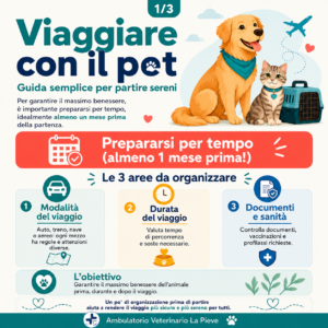 Viaggiare con cane e gatto guida semplice per partire sereni