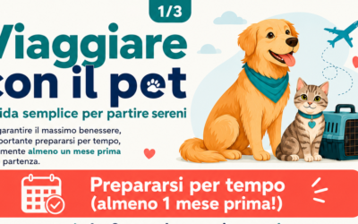Viaggiare con cane e gatto: consigli del veterinario prima della partenza