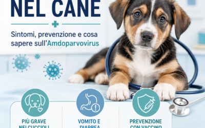 Parvovirosi cane: sintomi, prevenzione e cosa sapere sull’Amdoparvovirus