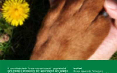 Protetto: Patentino per proprietari di cani a Como: corso formativo 2 e 9 ottobre 2026